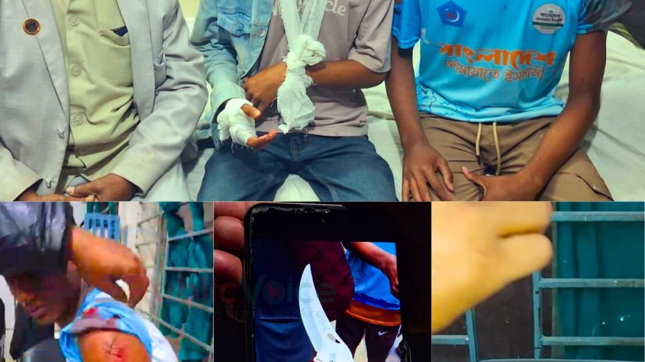 গাইবান্ধার পলাশবাড়ীতে জামায়াত প্রার্থীর নির্বাচনী প্রচারণায় বিএনপির সশস্ত্র হামলা