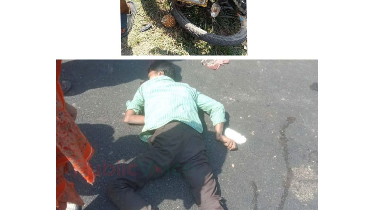 ঝালকাঠির রাজাপুরে সড়ক দুর্ঘটনায় ইজিবাইক চালক নিহত।