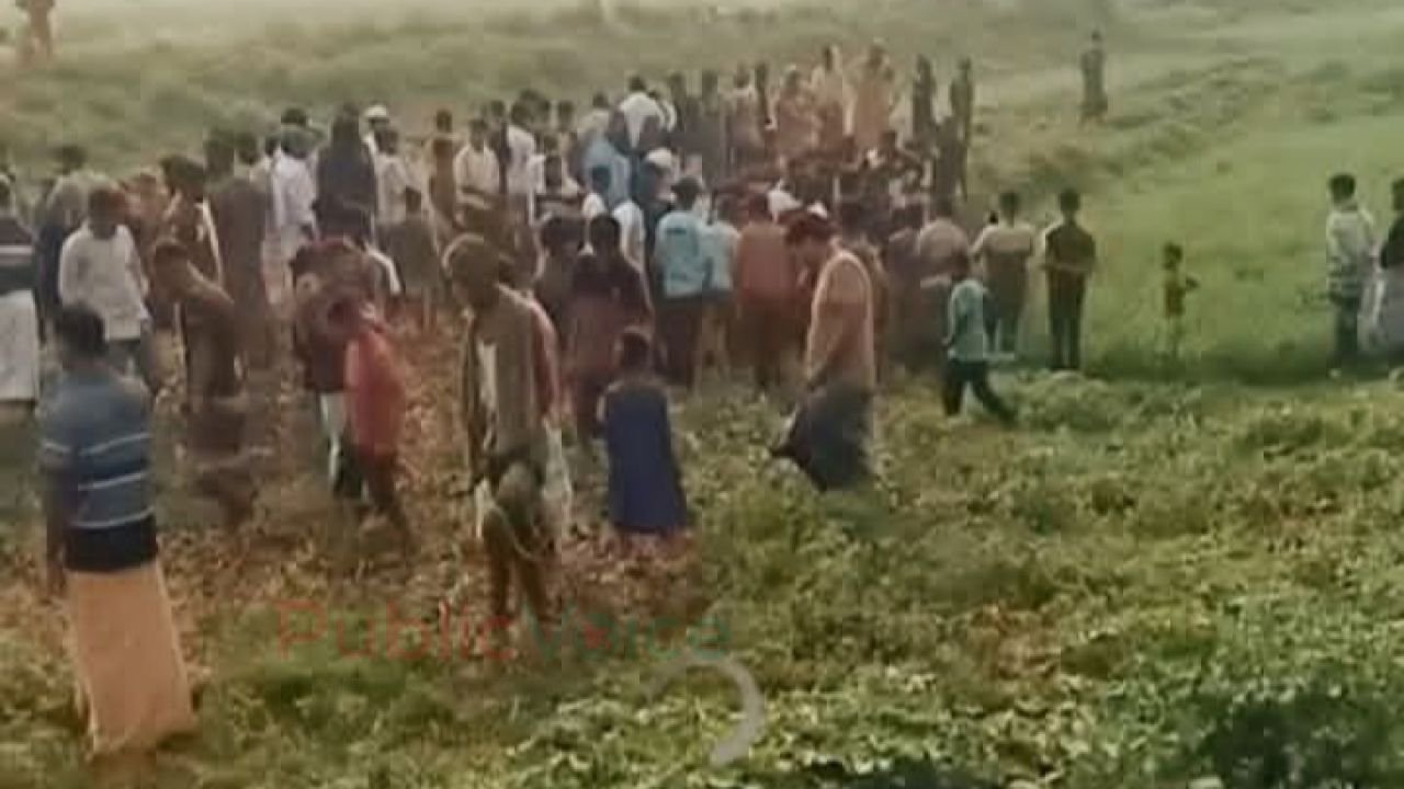 পাবনার বেড়া উপজেলায় এক বৃদ্ধের মরদেহ উদ্ধার