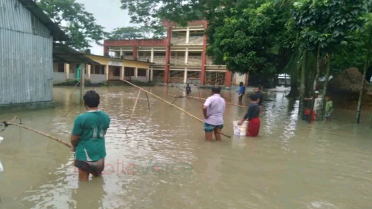 ঈশ্বরগঞ্জে স্কুল প্রাঙ্গনে হাঁটুসমান পানি, চরম ভোগান্তিতে শিক্ষার্থী ও স্থানীয়রা