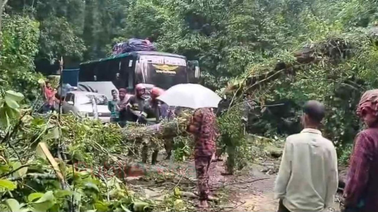 কালবৈশাখী ঝড়ে লাউয়াছড়ার সড়কে গাছ উপড়ে জনজীবন বিঘ্নিত 