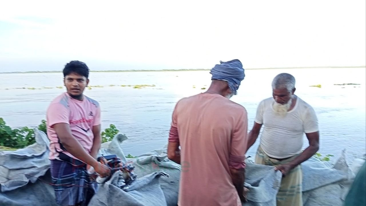 চিলমারীতে নদের ভাঙ্গন রোধে  বালু ভর্তি  জিওব্যাগ ডাম্পিং  স্থায়ী সমাধানে এলাকাবাসীর দাবী 