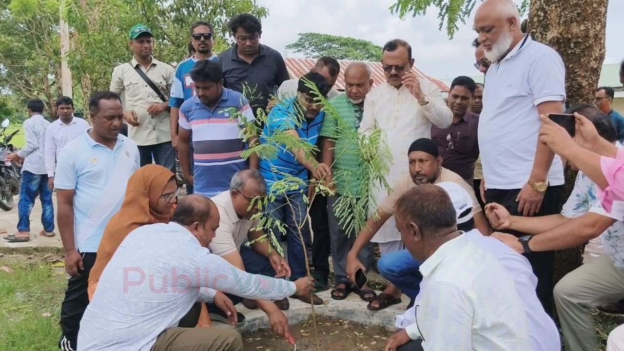 বারহাট্টায় মডেল গ্রাম উন্নয়ন প্রকল্পের বৃক্ষরোপণ কর্মসূচির উদ্বোধন 