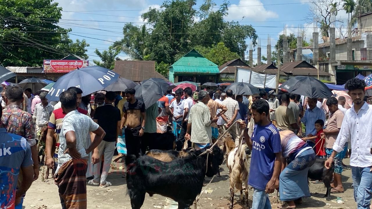 মনসা পূজা ঘিরে জমজমাট নেত্রকোনার পাঁঠার হাট