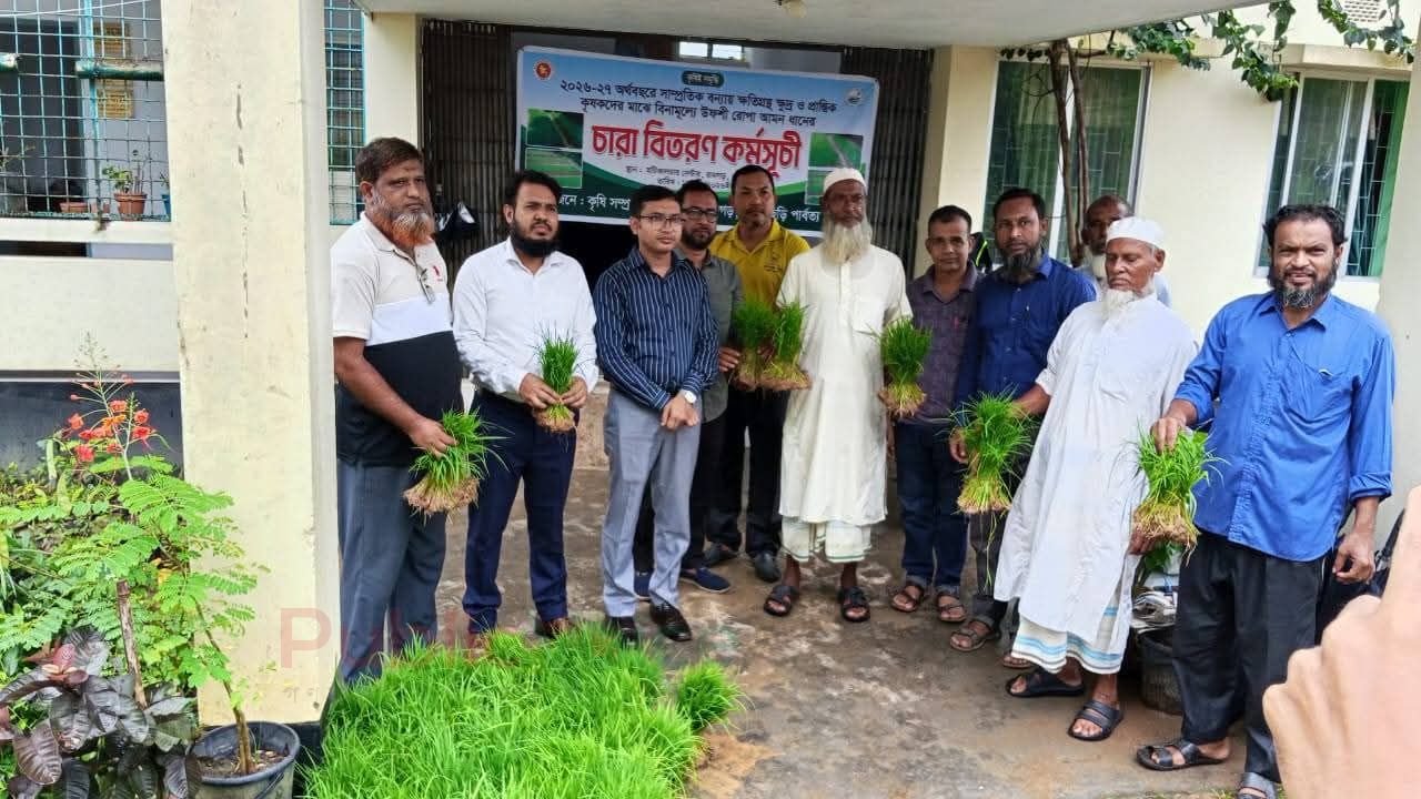 খাগড়াছড়ি,রামগড়ে বন্যায় ক্ষতিগ্রস্ত কৃষকদের মাঝে বিনামূল্যে উফশী রোপা আমন ধানের চারা বিতরণ