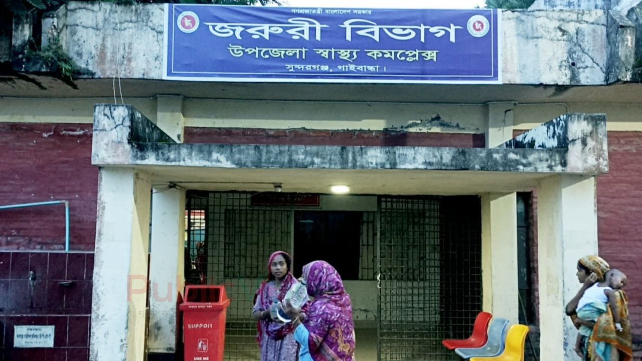 সুন্দরগঞ্জে শিয়ালের তান্ডব, নারী-শিশুসহ আহত ৯