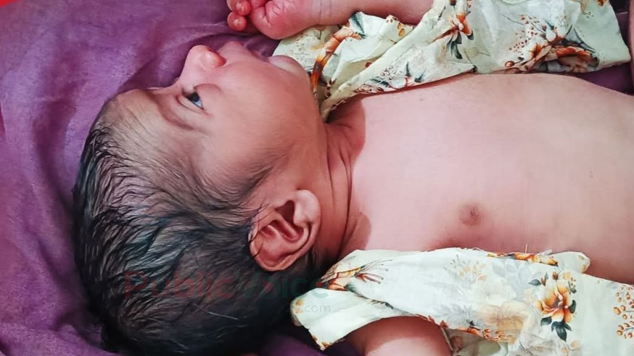 ধুনটে জঙ্গলে ফেলে যাওয়া একদিনের নবজাতক উদ্ধার, এলাকায় চাঞ্চল্য