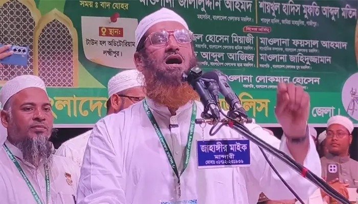 বিএনপিকে সেই একই ভূতে পেয়েছে: মামুনুল হক