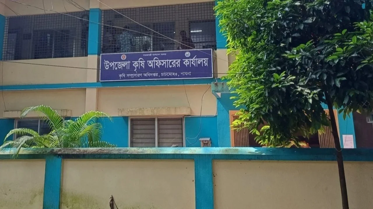 চাটমোহরে সার সিন্ডিকেটের দৌরাত্ম্যে জিম্মি কৃষক, বাড়ছে অসন্তোষ