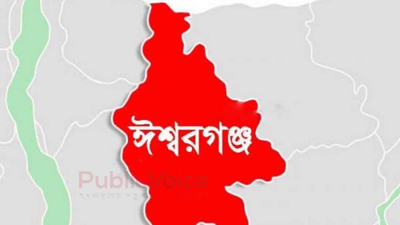 মাকে শেষবার দেখার আকুতি, তারপরও থামেনি নির্যাতন-মুক্তিপণ না পেয়ে পা  ভেঙে দিয়েছে দুর্বৃত্তরা  