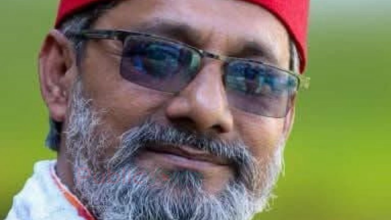 বাবুই শিশুসাহিত্য উৎসব: ‘পাখপাখালির ছড়া’ গ্রন্থের জন্য সেরা লেখক কবি এনামুল হক পলাশ