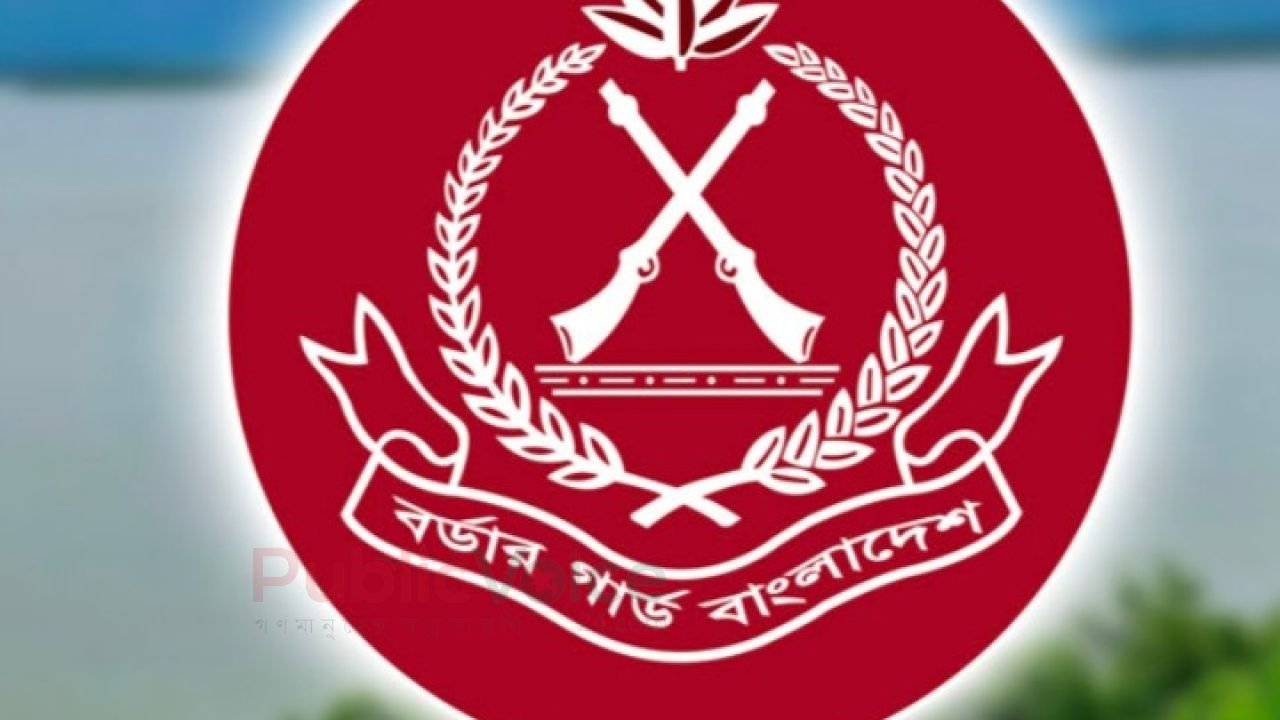 গোদাগাড়ীর প্রেমতলী সীমান্তে বিজিবির অভিযানে ৫ হাজার ভারতীয় ইলেকট্রিক রেজিস্টেন্স জব্দ