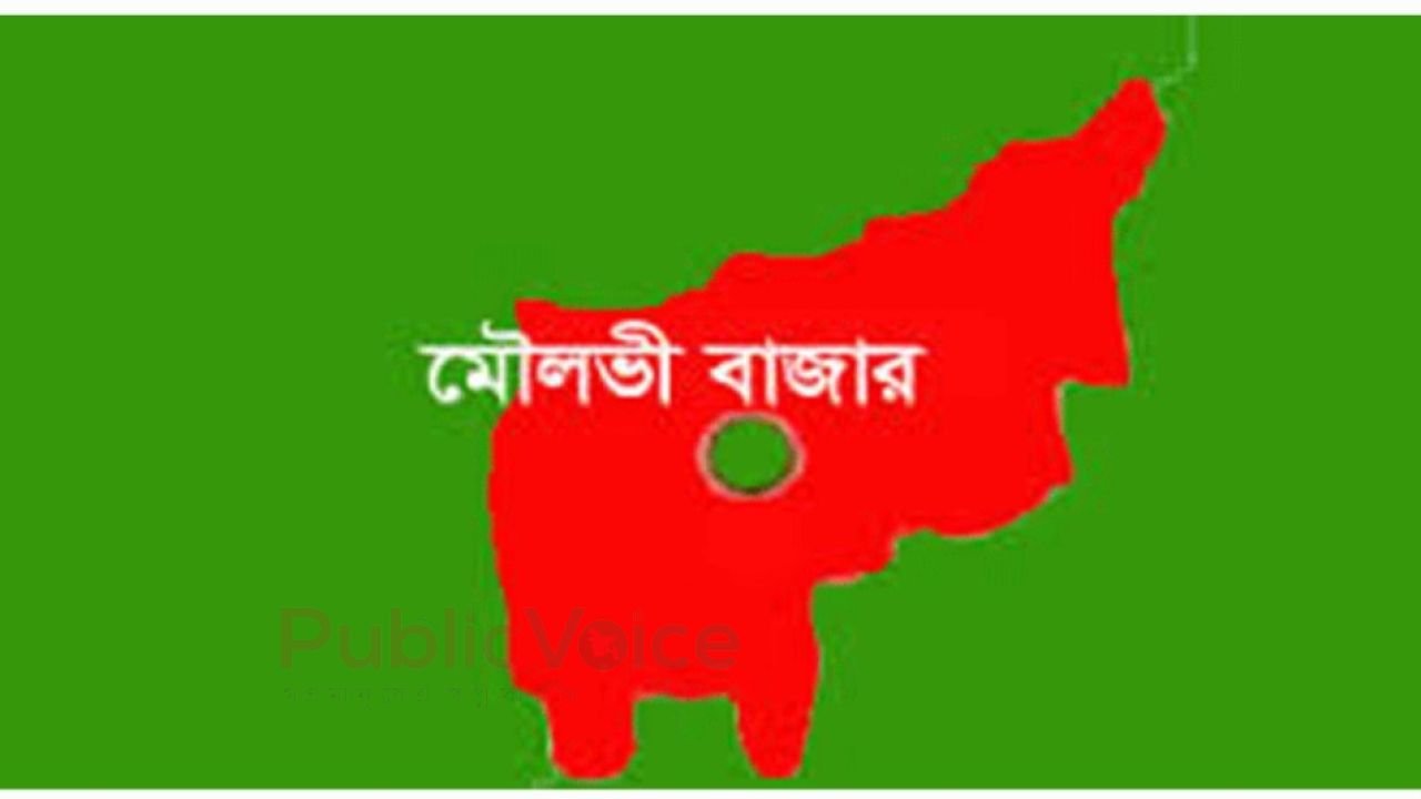 র‌্যাব-৯ এর অভিযানে ৪টি এয়ারগান ও ২৫ রাউন্ড গুলি উদ্ধার