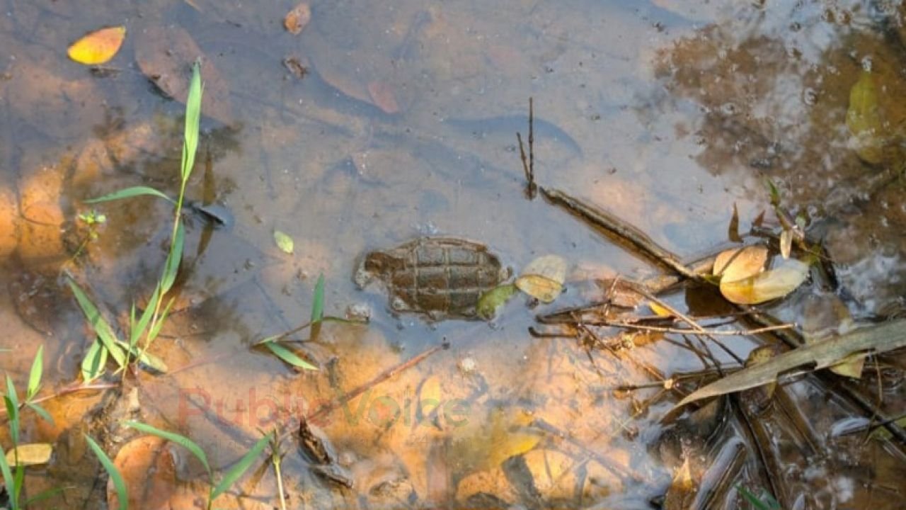 পরিত্যক্ত অবস্থায় গ্ৰেনেড উদ্ধার