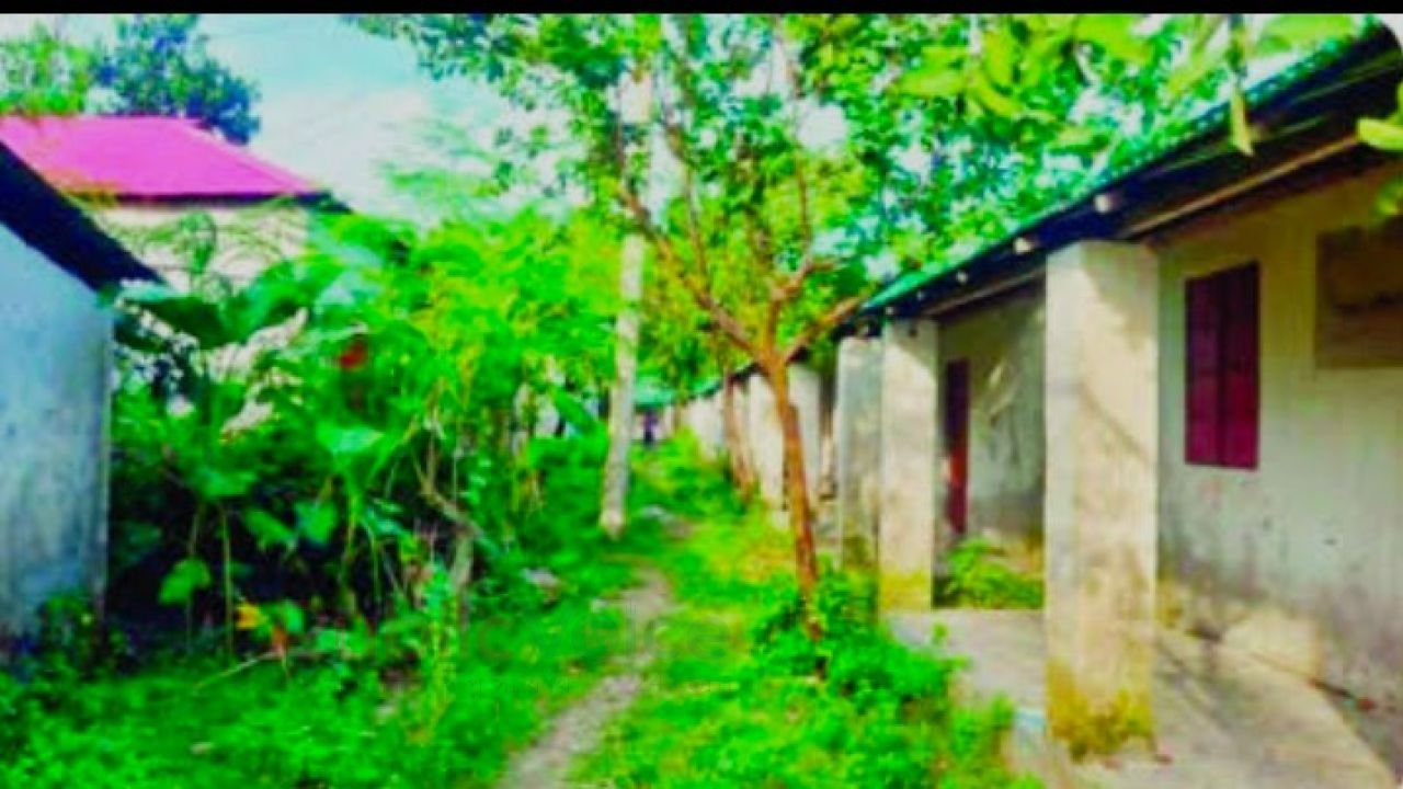 গড়বাড়িতে আশ্রয়ণ প্রকল্পের ঘরে মাদকের আড্ডা: অসহায়রা বঞ্চিত, বন্ধ ঘরের সুযোগ নিচ্ছে কারবারিরা
