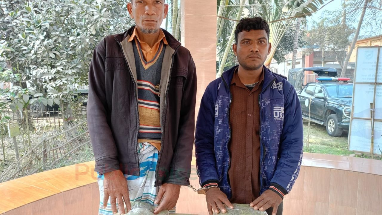 গাইবান্ধার পলাশবাড়ীতে ২ কেজি গাঁজাসহ দুই মাদক কারবারি গ্রেপ্তার
