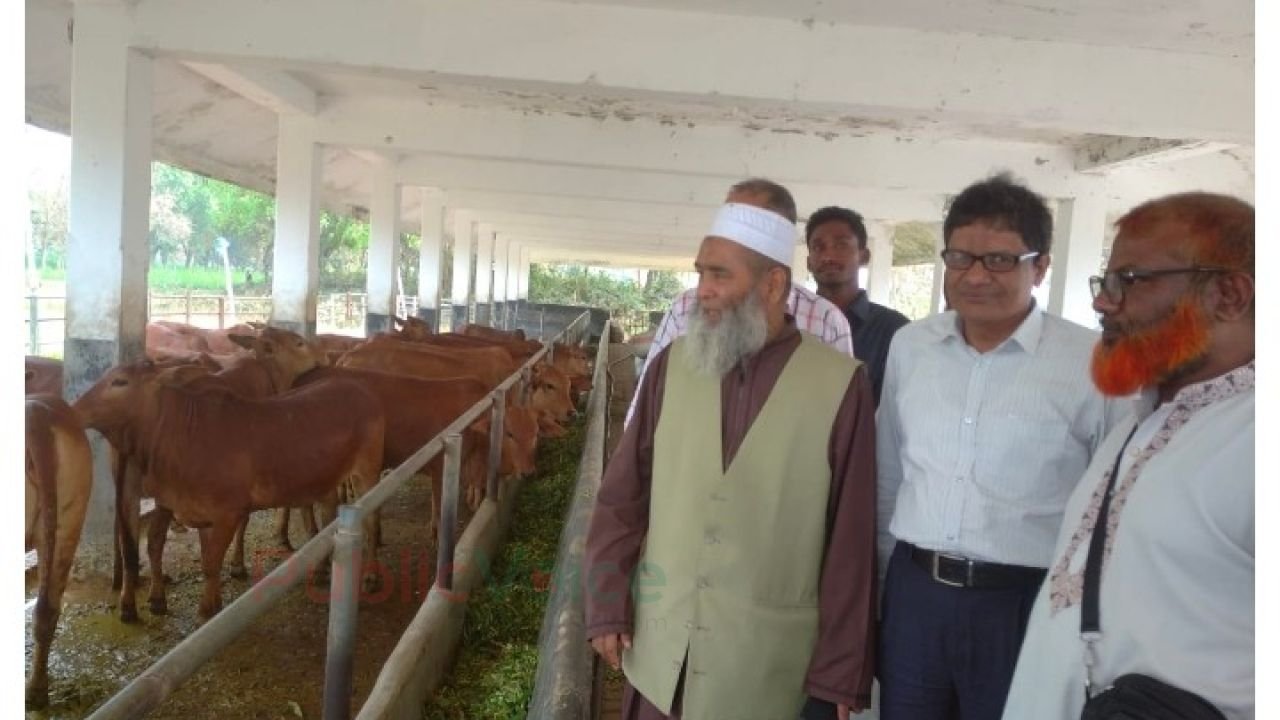 রাজাবাড়ীহাট দুগ্ধ ও গবাদি উন্নয়ন খামার পরিদর্শন করলেন এমপি মুজিবুর রহমান