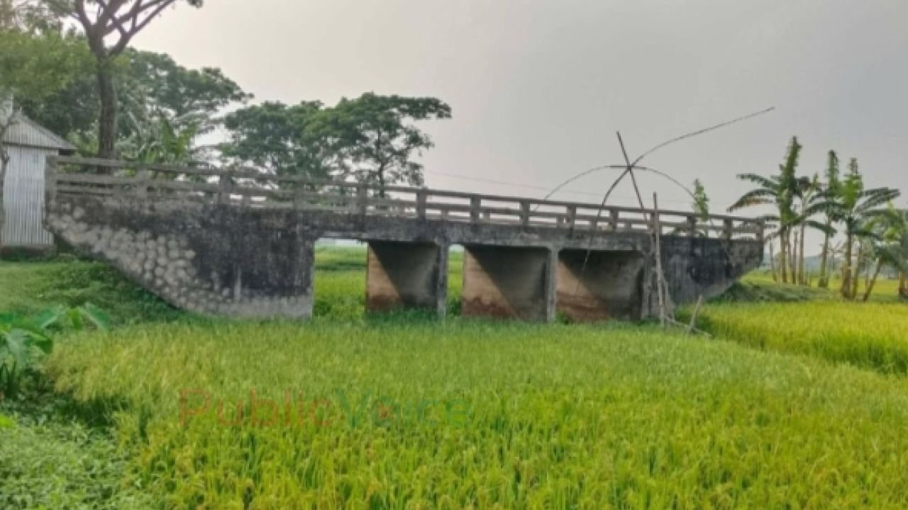 সেতু আছে, পথ নেই—ঈশ্বরগঞ্জে উন্নয়নের করুণ পরিহাস