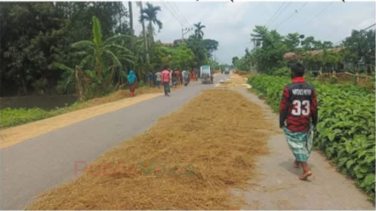 দায়িত্বশীলদের নীরবতায় ঈশ্বরগঞ্জে সড়ক দখল: ধান শুকানোর হিড়িকে বাড়ছে দুর্ঘটনার ঝুঁকি