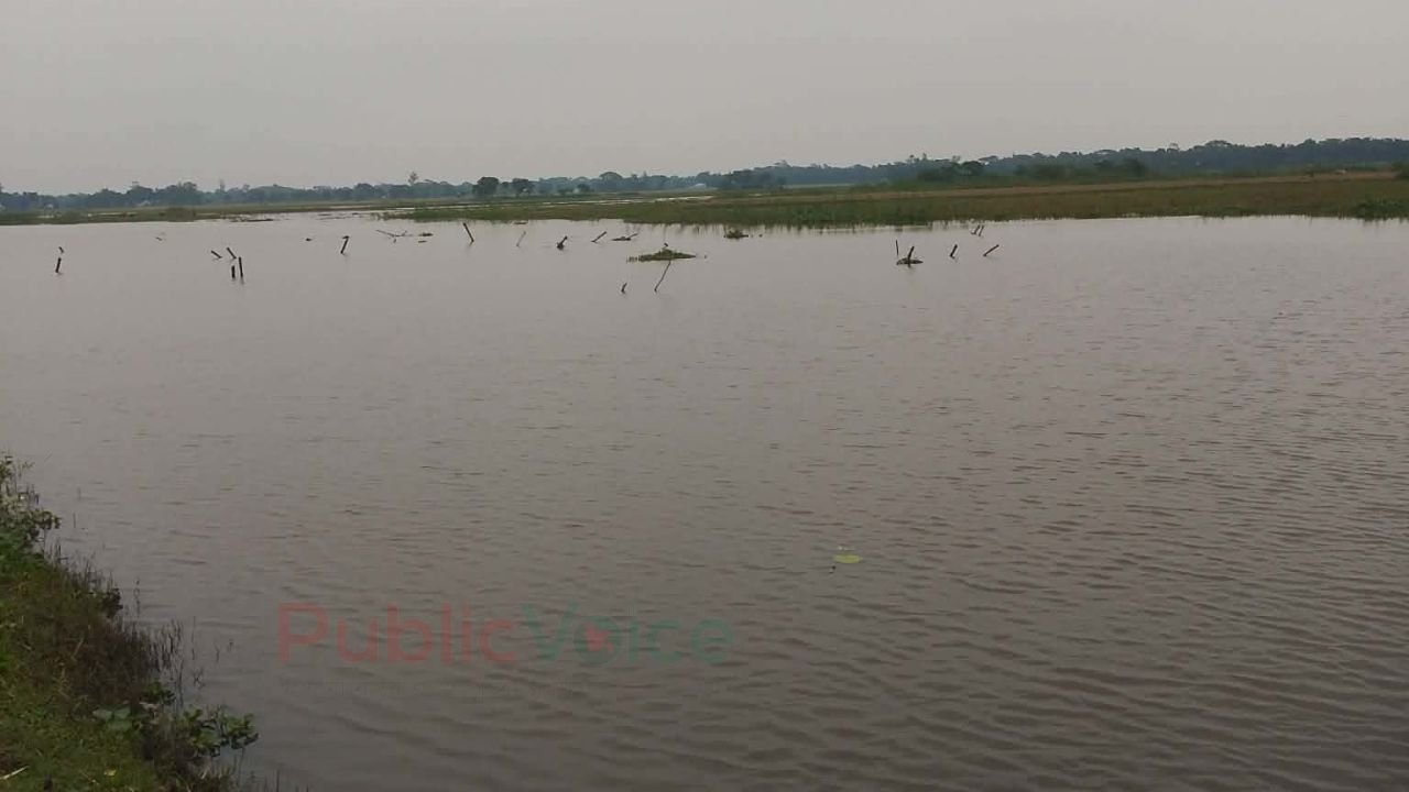নেত্রকোনায় জলমহাল ইজারায় অনিয়মের অভিযোগ
