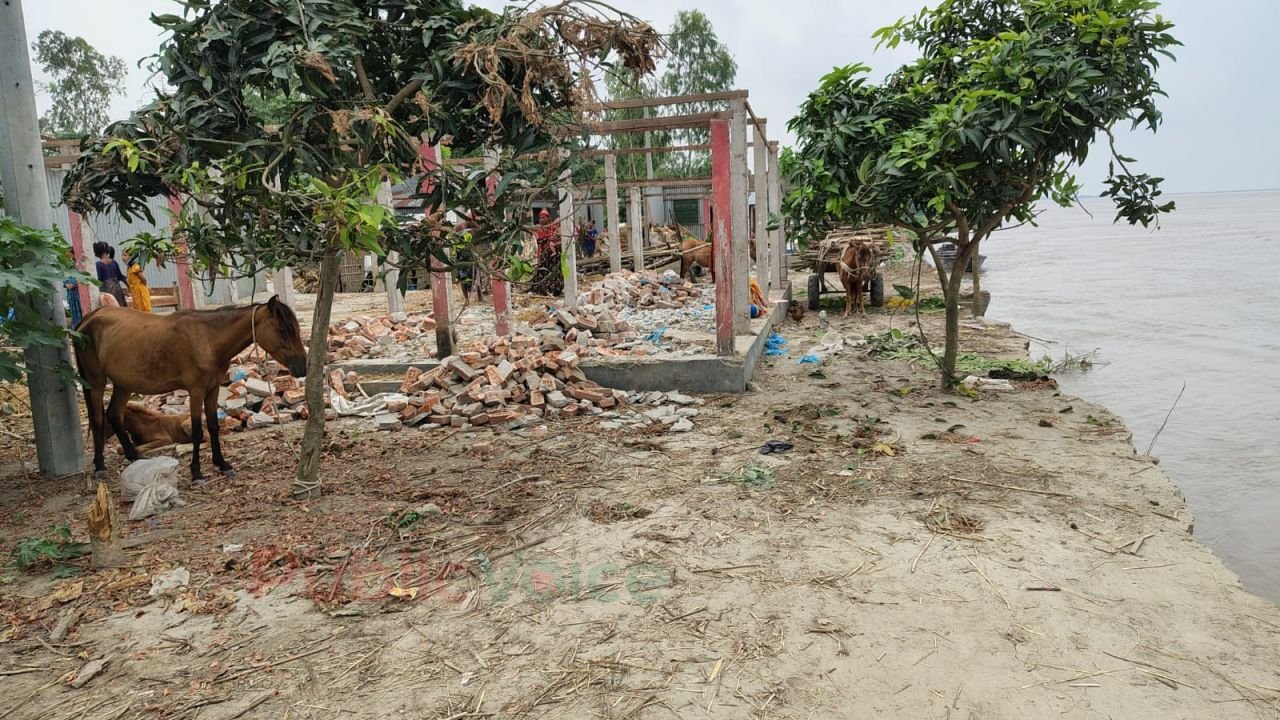 চিলমারীতে ব্রহ্মপুত্র নদের তিব্র ভাঙ্গনে গৃহহীন ২৫ টি পরিবার আতঙ্কে চরের বসতি