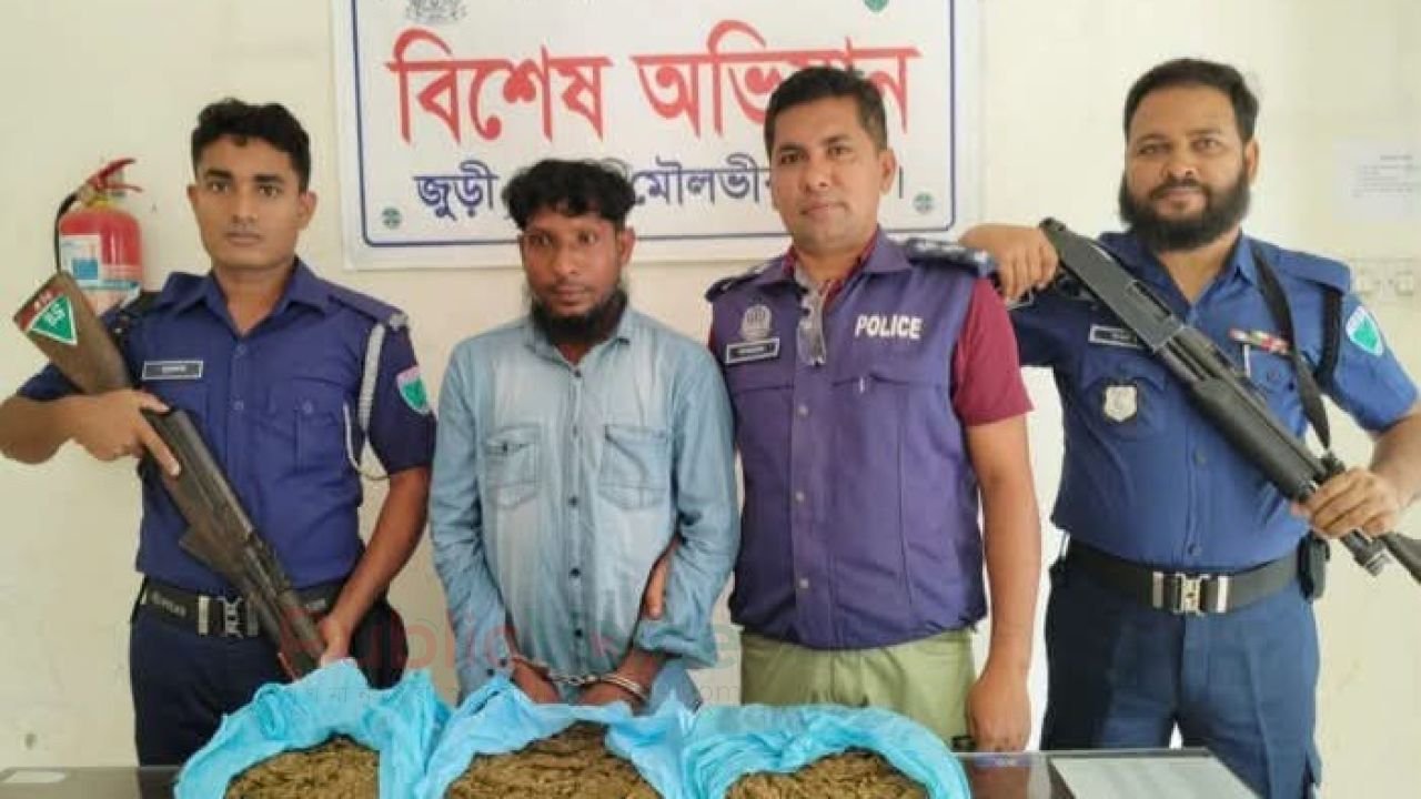 ৩ কেজি গাঁজাসহ কারবারি গ্রেপ্তার