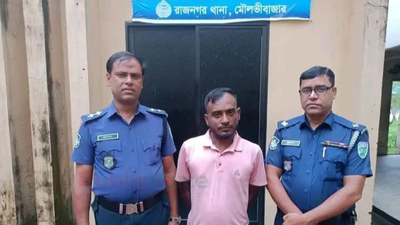 রাজনগরে ৮টি ডাকাতি মামলার পলাতক সাফায়েত গ্রেপ্তার