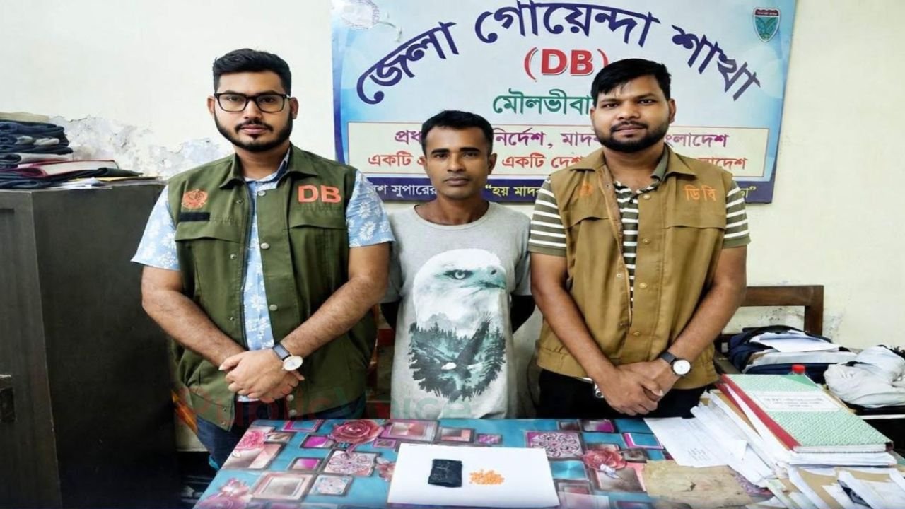 ডিবির জালে কারবারি ইয়াবাসহ আটক